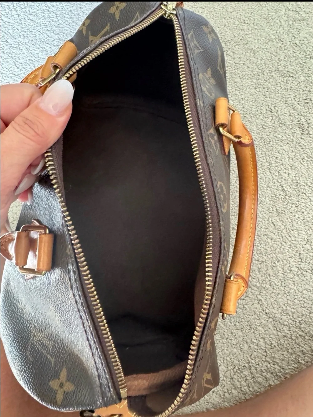 Louis Vuitton iconic louis